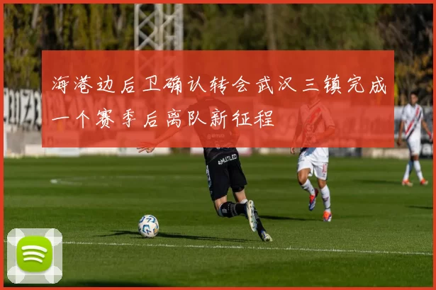 海港边后卫确认转会武汉三镇完成一个赛季后离队新征程